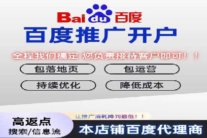 某品牌通过百度竞价提升线上销售业绩的案例