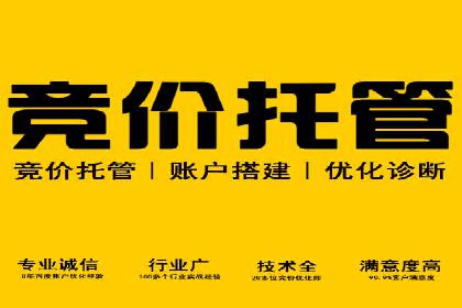 百度企业级服务推广的全面解决方案